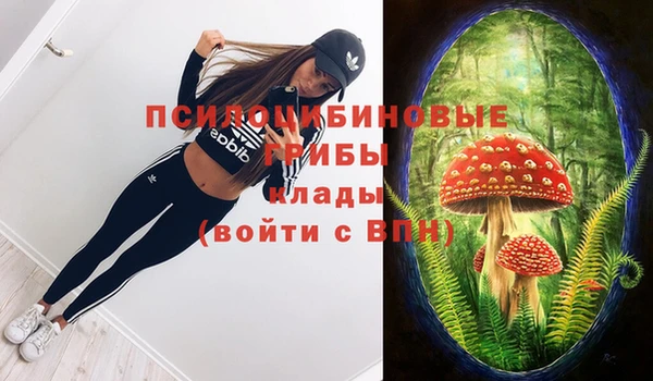 ГАЛЛЮЦИНОГЕННЫЕ ГРИБЫ Наволоки