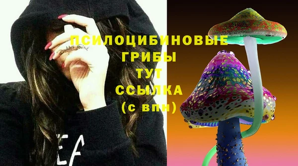 бошки Абаза